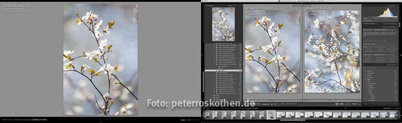 Lightroom Fotokurs Schulung Lightroom Fotokurs Schulung