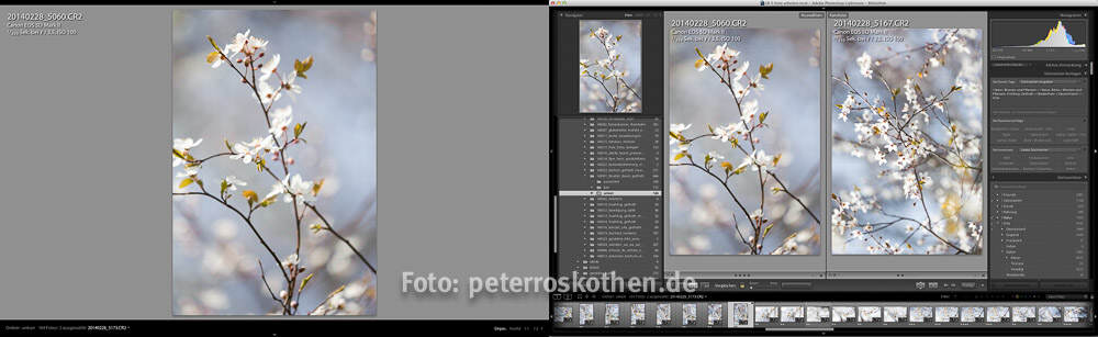 Adobe Lightroom Für Fotografen Und Fotobegeisterte