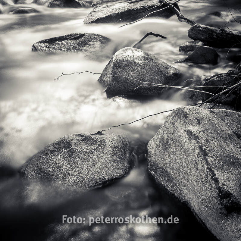 Quadratisches Foto Monochrom