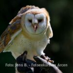 Fotos / Video Fotoexkursion Kasteeltuinen Arcen Nl