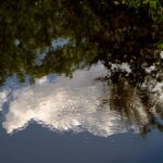 Fotos / Video Fotoexkursion Kasteeltuinen Arcen Nl