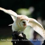 Fotos / Video Fotoexkursion Kasteeltuinen Arcen Nl