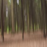 Freude An Unschärfe - Fotografie Wischtechnik