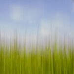 Freude An Unschärfe - Wischtechnik Fotografie