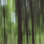Freude An Unschärfe - Fotografie Wischtechnik