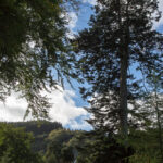 Powerscourt Waterfall