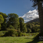 Powerscourt Waterfall