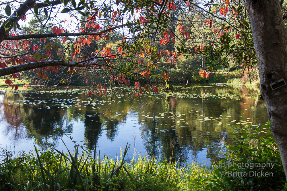 Powerscourt Gardens