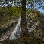 Powerscourt Waterfall