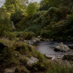 Powerscourt Waterfall