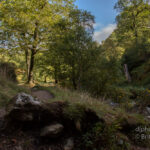 Powerscourt Waterfall