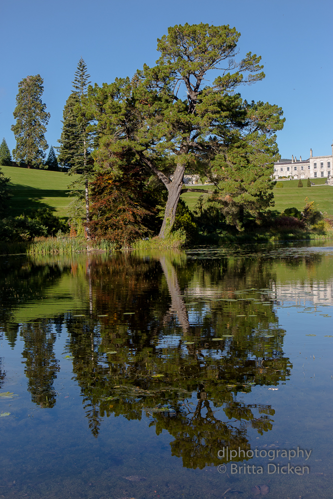 Powerscourt Gardens