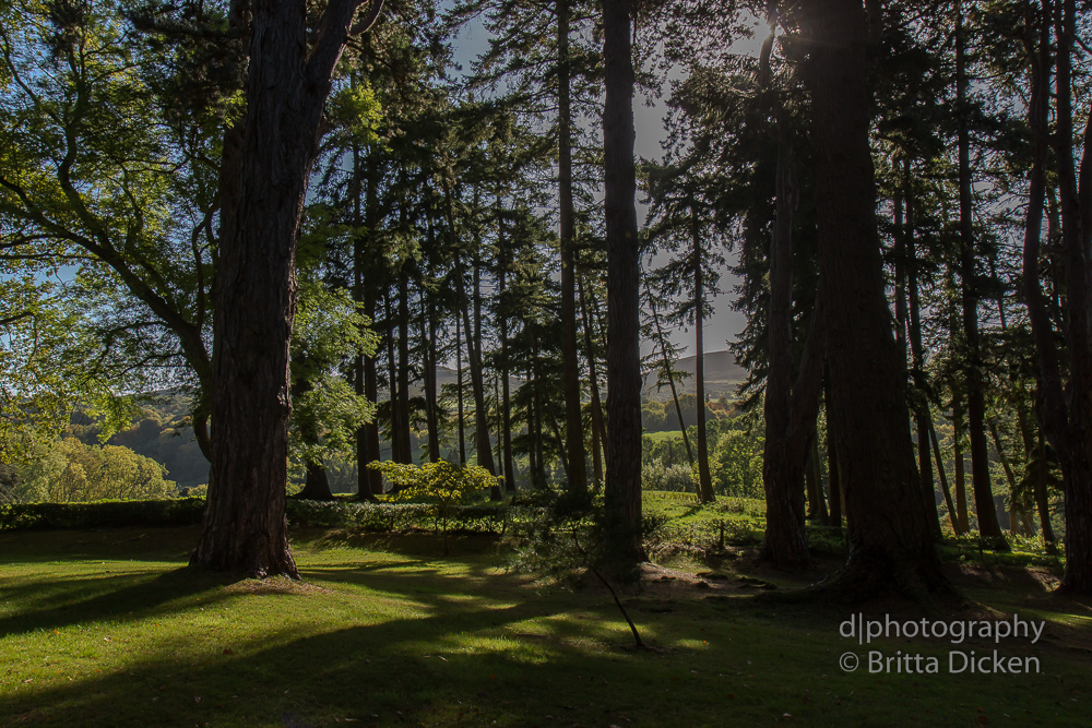 Powerscourt Gardens