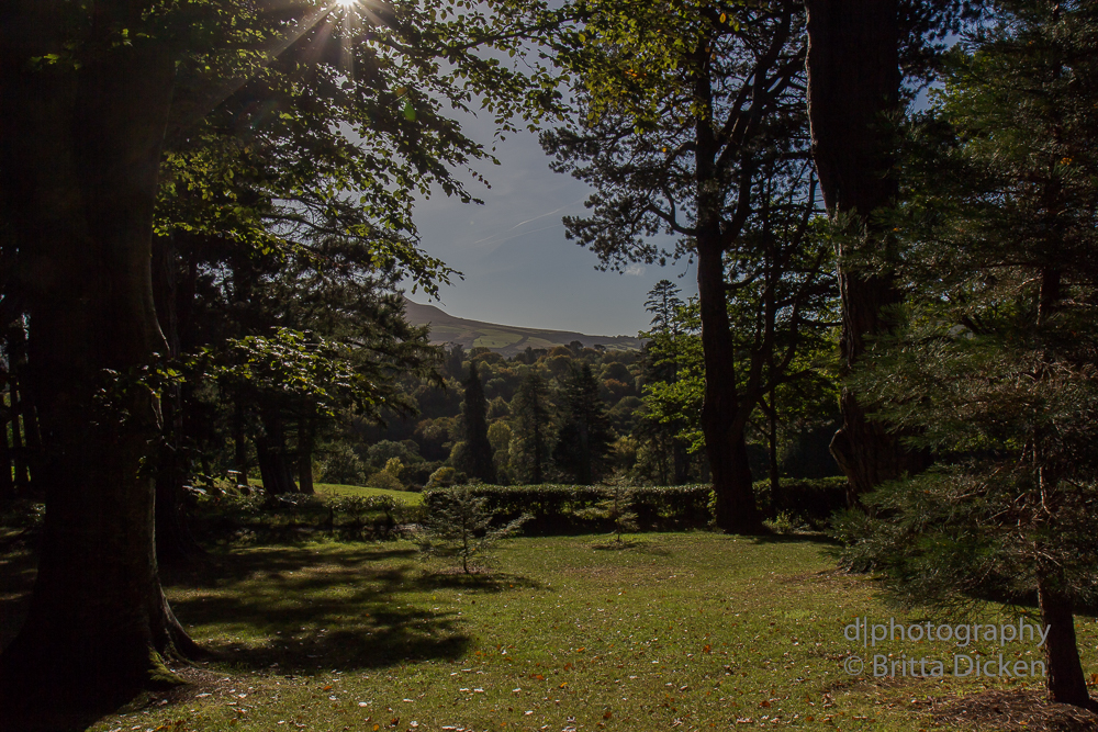 Powerscourt Gardens