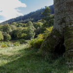 Powerscourt Waterfall