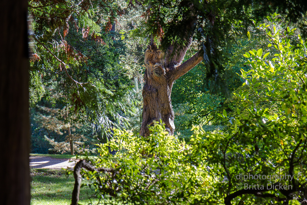 Powerscourt Gardens