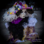 VENEDIG KARNEVAL 2016 – * ON TOUR