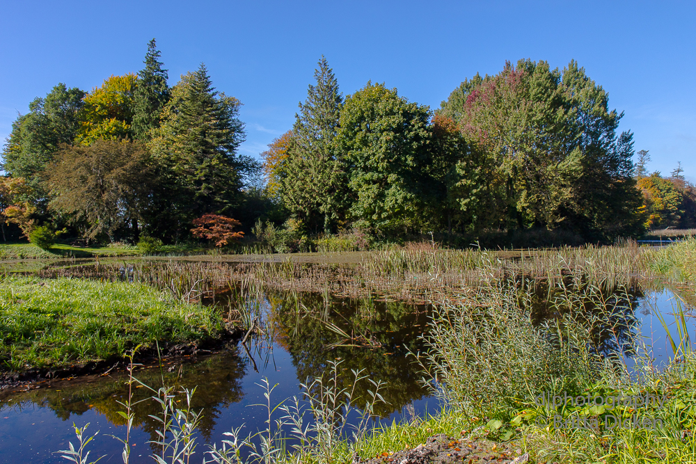 Birr Castle Gardens