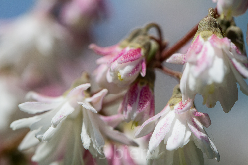 Naturschönheiten - *fotowissen