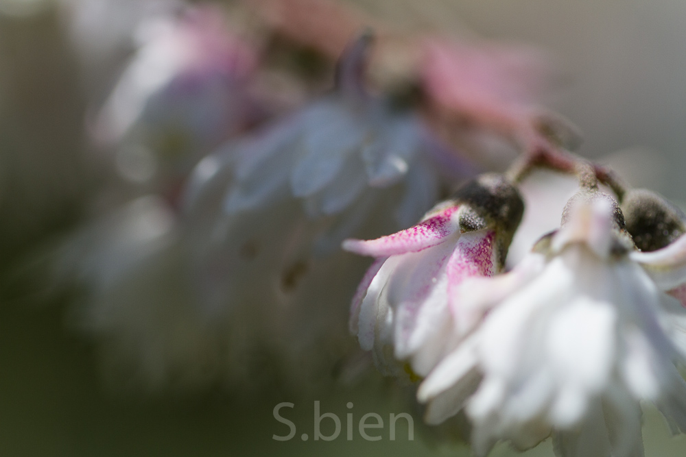 Naturschönheiten - *fotowissen