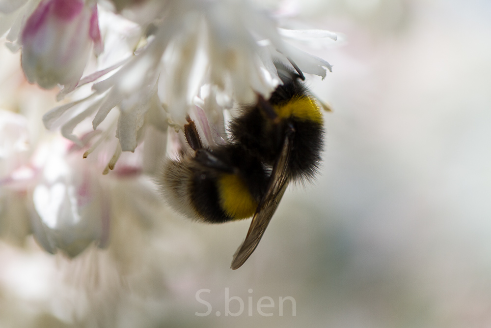 Naturschönheiten - *fotowissen