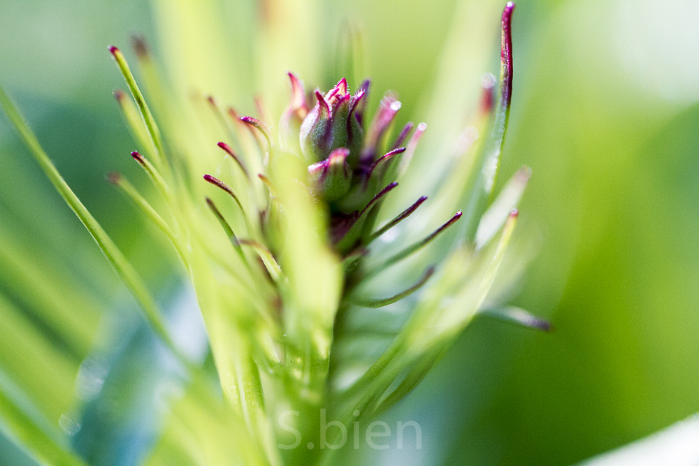 Naturschönheiten - *fotowissen