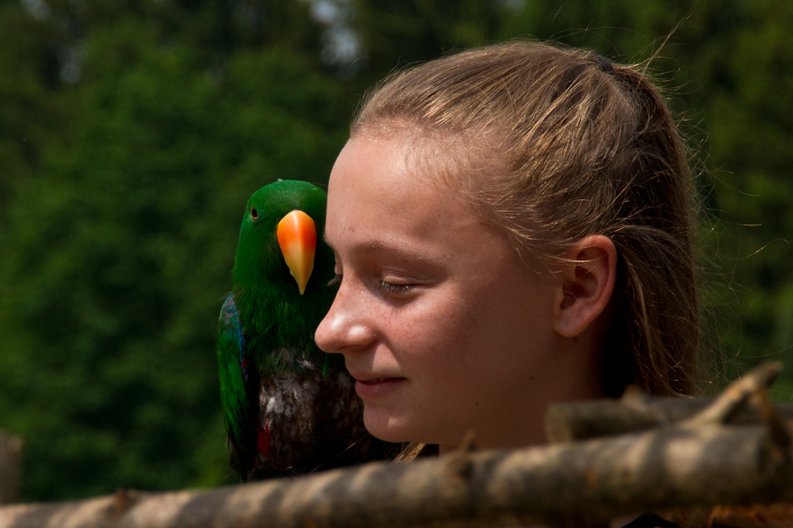 Vogelpark Heiligenkirchen - *fotowissen