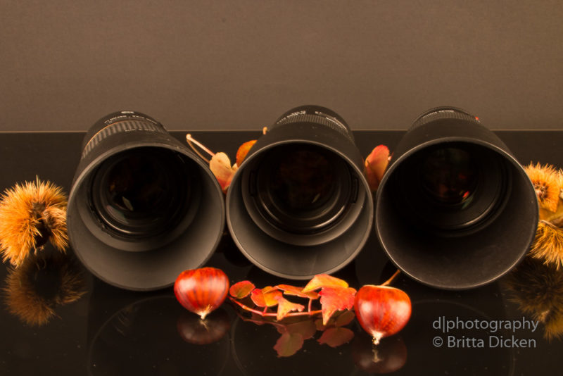 Vergleich Tamron Makro vs Canon Makro Vergleich Tamron Makro vs Canon Makro