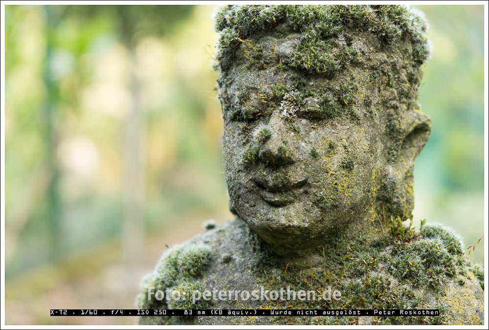 Entfesselt Blitzen mit und ohne Blitzfolie. Künstliche Sonne mit entfesseltem Blitzen Entfesselt Blitzen mit und ohne Blitzfolie. Künstliche Sonne mit entfesseltem Blitzen