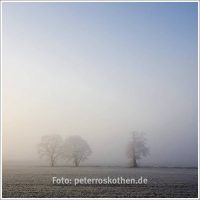 Das quadratische Foto - Bildformat: Das Quadrat ist nicht variabel wie das Hochformat. Es ist ein sehr strenges Bildformat, eignet sich aber überraschend gut für viele Motive.