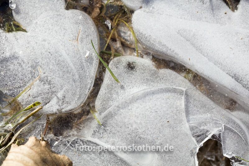 Bessere Makrofotos im Winter