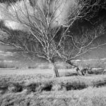Beispielfoto GFX mit Canon TS-E 24mm