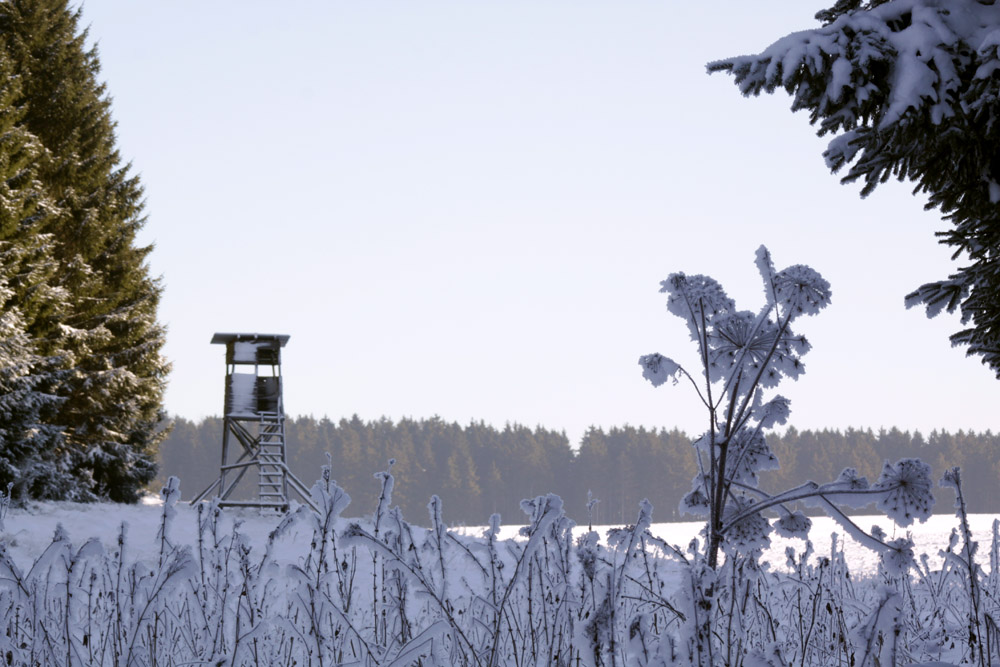 Schnee