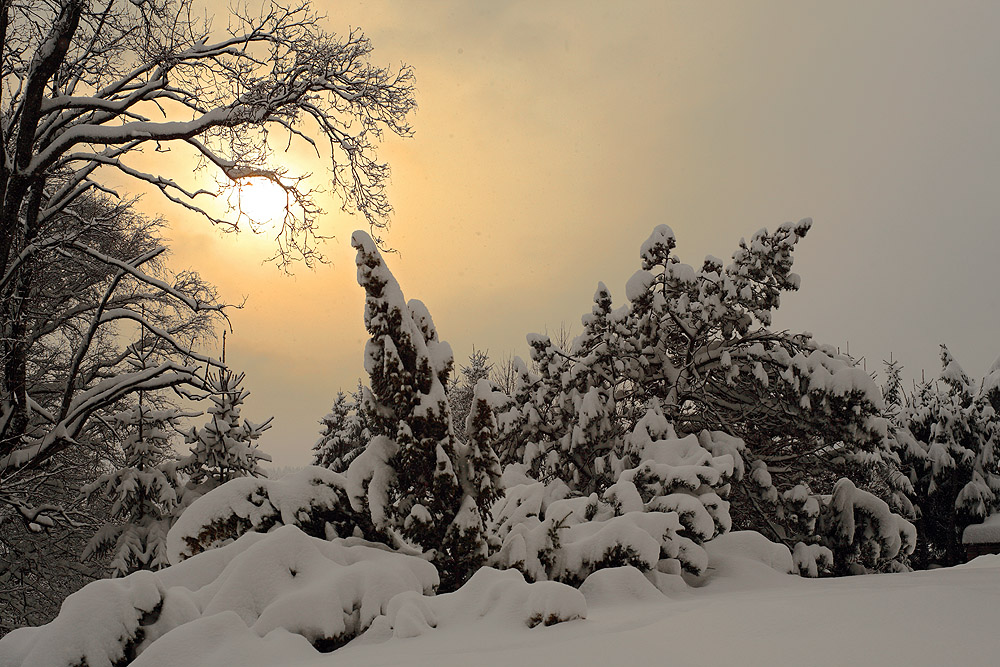 Schnee