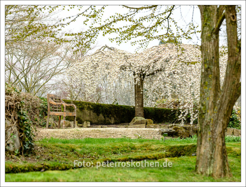 Kleine Schärfentiefe in der Frühlingsfotografie