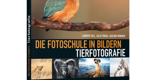 Die Fotoschule in Bildern Tierfotografie PDF Epub-Ebook