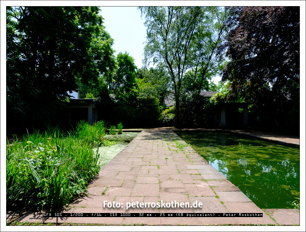 Gartenfotografie ist oft sehr kontrastreich und schwierig Gartenfotografie ist oft sehr kontrastreich und schwierig