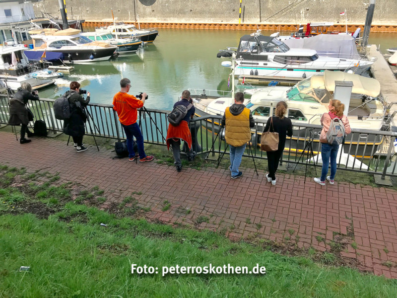 Fotoworkshop Medienhafen Düsseldorf mit Peter Roskothen Fotoworkshop Medienhafen Düsseldorf mit Peter Roskothen