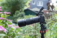 Makro Zwischenring MCEX-45G mit GF120mm - Mindestabstand ca 39cm Makro Zwischenring MCEX-45G mit GF120mm - Mindestabstand ca 39cm