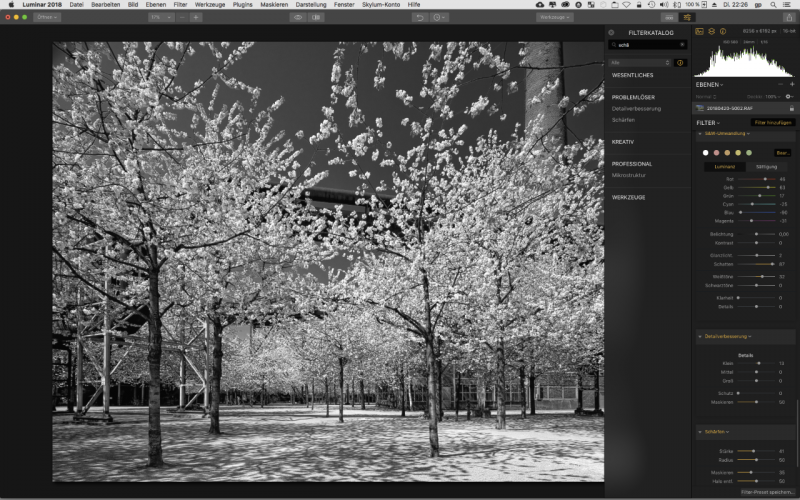 Schwarzweiss Software Luminar Luminar ist eine Photoshop Alternative und wandelt auch in Schwarzweisse Fotos