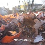Test Bilder Samyang 12mm F2 NCS CS Fuji X-System