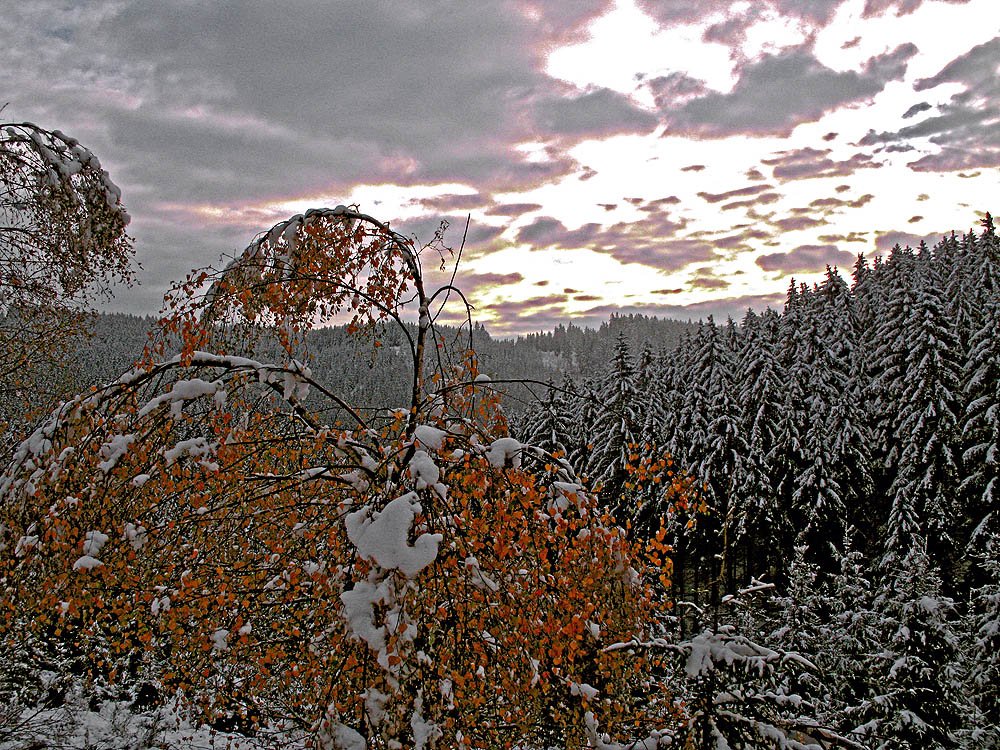 Thumkuhlen- und Drängetal