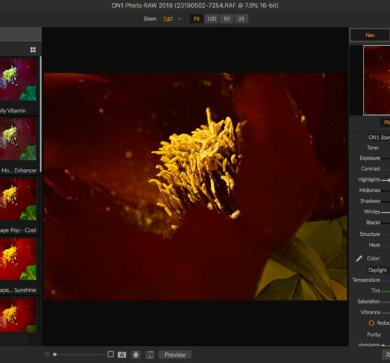 On1 Photo RAW kann Lightroom ersetzen