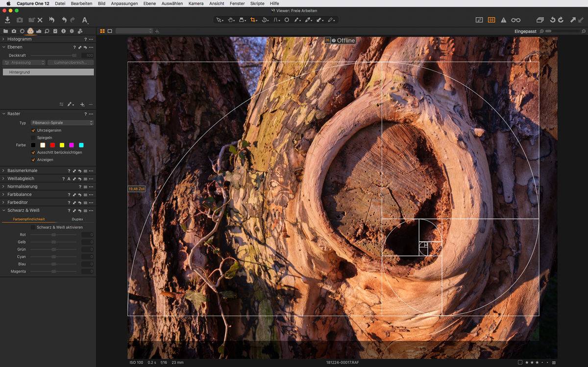 Capture One 12.1 Update - 13.Juni 2019 Capture One 12.1 Update - 13.Juni 2019