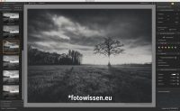 Silver Efex Pro aus der NIK COLLECTION Silver Efex Pro aus der NIK COLLECTION