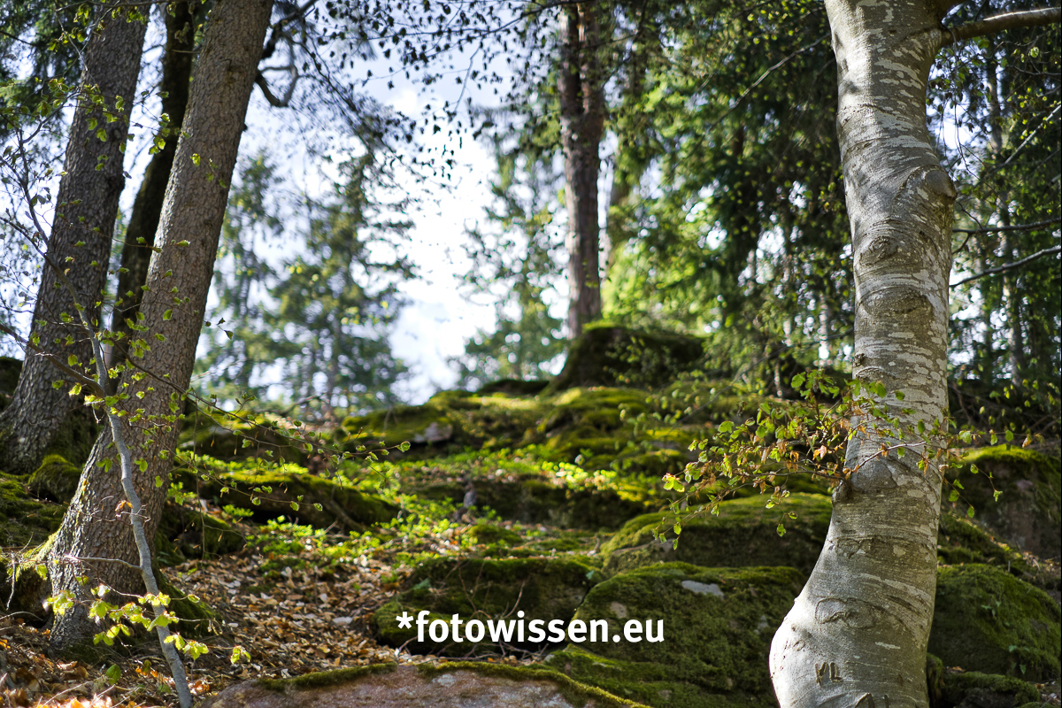 Bildbearbeitung Mit Luminar 3 20190510 5048 Nachher Bildbearbeitung Mit Luminar 3 20190510 5048 Nachher