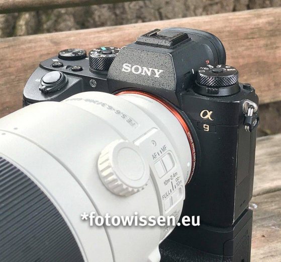 Test Sony A9 mit Sony SEL FE 200-600mm F5,6-6,3 G OSS