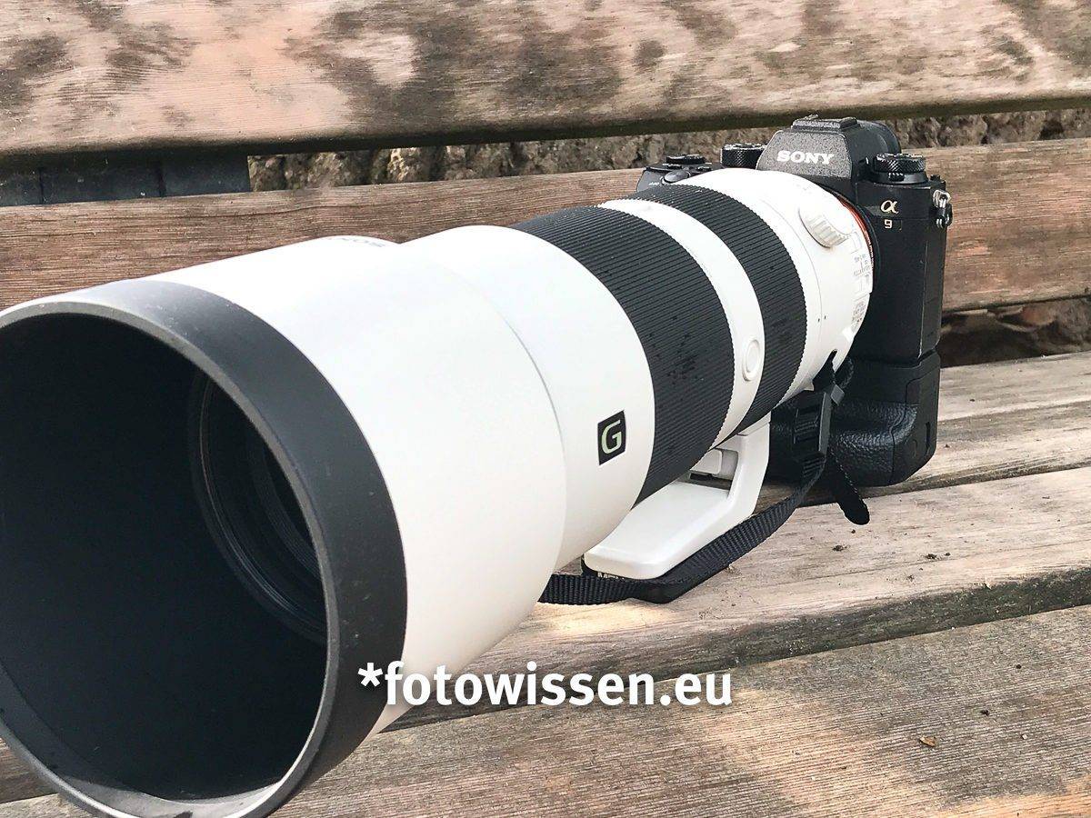 Test Sony A9 mit Sony SEL FE 200-600mm F5,6-6,3 G OSS