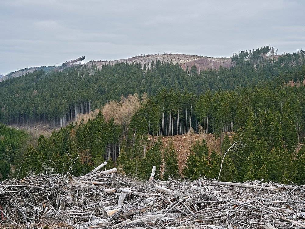 blick-im-draengetal-20190329-holzborn-0726kl blick im draengetal 20190329 holzborn 0726kl