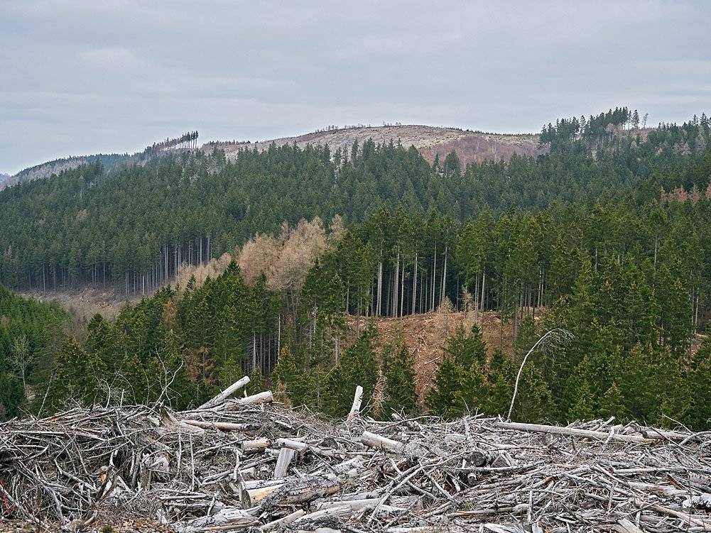 blick im draengetal 20190329 holzborn 0726kl